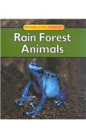 Rain Forest Animals