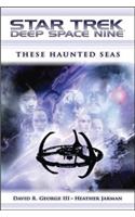 Star Trek: Deep Space Nine: These Haunted Seas