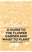 Guide to the Flower Garden and What to Plant