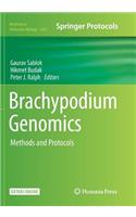Brachypodium Genomics