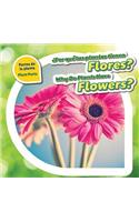 ¿Por Qué Las Plantas Tienen Flores? / Why Do Plants Have Flowers?