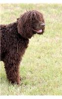 Irish Water Spaniel: Artified Pets Journal/Notebook/Diary, 6" by 9" and 160 Pages with Wraparound Image Cover