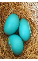 Journal Three Blue Robin Eggs Bird's Nest: (Notebook, Diary, Blank Book)