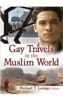 Gay Travels in the Muslim World