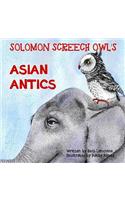 Solomon Screech Owl's Asian Antics