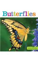 Seedlings: Butterflies