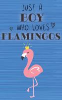 Just a Boy Who Loves Flamingos: Blank Line Notebook, Diary, Journal, Planner with favorite animal / 6 x 9 / 110 Lined Pages / Great Gift Idea ... Journaling Writing or Doodles Bett