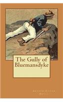 The Gully of Bluemansdyke