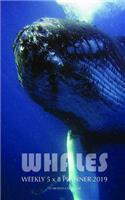 Whales Weekly 5 X 8 Planner 2019