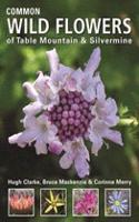 Common Wild Flowers of Table Mountain & Silvermine