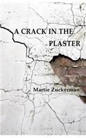 A Crack in the Plaster