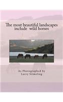 most beautiful landscapes include wild horses