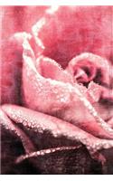 Blushing Rose (Project/Holiday Planner): 6 x 9, Project/Daily Planner, Medium Ruled, Soft Cover