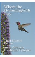Where the Hummingbirds Play