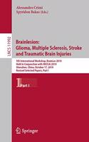 Brainlesion: Glioma, Multiple Sclerosis, Stroke and Traumatic Brain Injuries