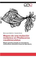 Mapeo de Una Mutacion Melanica En Phalloceros Caudimaculatus