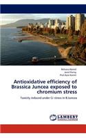 Antioxidative efficiency of Brassica Juncea exposed to chromium stress