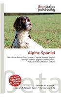 Alpine Spaniel