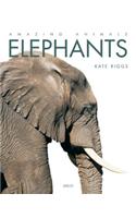 Elephants