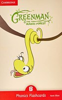 Greenman and the Magic Forest B Phonics Flashcards (Pack of 34)