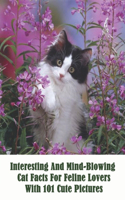 Interesting And Mind-blowing Cat Facts For Feline Lovers With 101 Cute Pictures: Mind Blowing Facts About Cats