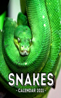 Snake Calendar 2021: 16-Month Calendar, Cute Gift Idea For Snake Lovers Women & Men