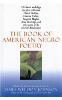 Book of American Negro Poetry