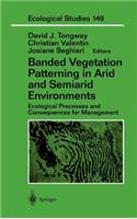 Banded Vegetation Patterning in Arid and Semiarid Environments
