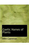 Gaelic Names of Plants