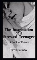 The Imagination of a Stressed Teenager