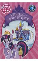 Meet Princess Twilight Sparkle