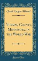 Norman County, Minnesota, in the World War (Classic Reprint)