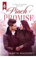 Pinch of Promise