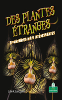 Des Plantes Étranges Effrayantes Mais Intéressantes (Creepy But Cool Scary Plants)