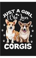 Just a Girl Who Loves Corgis