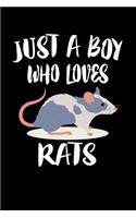 Just A Boy Who Loves Rats: Animal Nature Collection