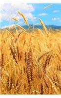 A Beautiful Field of Golden Grains Journal: 150 Page Lined Notebook/Diary