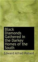 Black Diamonds Gathered in the Darkey Homes of the South