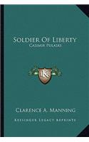 Soldier of Liberty