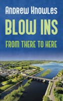 Blow Ins