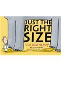 Just the Right Size