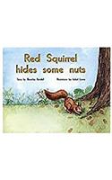 Red Squirrel Hides Some Nuts