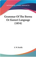 Grammar Of The Bornu Or Kanuri Language (1854)