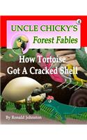 How Tortoise Got A Cracked Shell