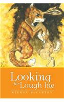 Looking for Lough Ine