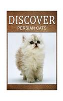 Persian Cats - Discover