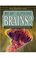 Why Don't Jellyfish Have Brains?