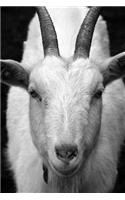 Billy Goat Journal: 150 page lined notebook/diary