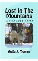 Lost In The Mountains: Little Lost Terra