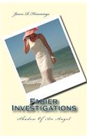 Fabier Investigations